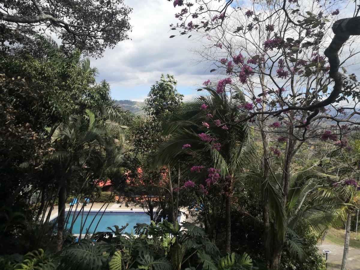 Hotel Villas De La Colina Atenas Extérieur photo